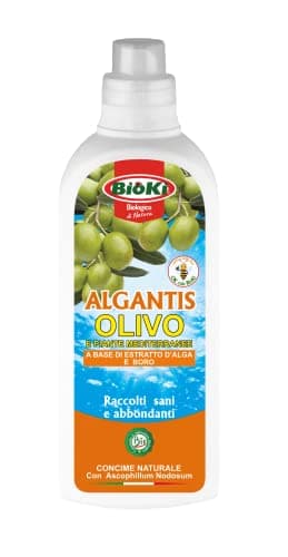 ALGANTIS OLIVO, Concime energizzante con Boro e Ascophillum Nodosum per Olivo e Piante Mediterranee, flacone da 1 kg