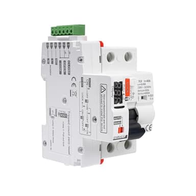 40A Salvavita con riarmo automatico Interruttore differenziale a riarmo automatico Differenziale riarmo automatico RCCB tipo A con display 220V 2P riarmo automatico in modalità auto.