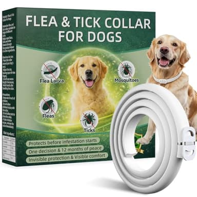 Collare Antiparassitario per Cani, Protezione Efficace Collare Antipulci Cane, 65 cm, Naturale, Impermeabile, Regolabile, Collari Antiparassitari per Cani per Piccoli, Medi e Grandi a Tutte le Razze